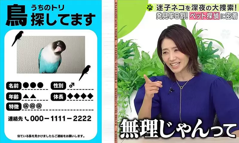 《藝人嘲笑鳥飼主炎上》笑稱尋鳥啟事根本沒屁用?挨批太不尊重人家了 《藝人嘲笑鳥飼主炎上》笑稱尋鳥啟事根本沒屁用?挨批太不尊重人家了