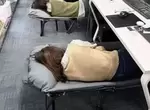 《這間公司血汗嗎》員工們躺在辦公室睡覺 不少日本網友覺得這樣非常有良心? 《這間公司血汗嗎》員工們躺在辦公室睡覺 不少日本網友覺得這樣非常有良心?
