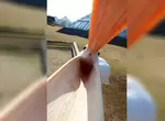推特話題《PO出離你最近的鳥照》至近距離的鵜鶘大概就長這樣子= = 推特話題《PO出離你最近的鳥照》至近距離的鵜鶘大概就長這樣子= =