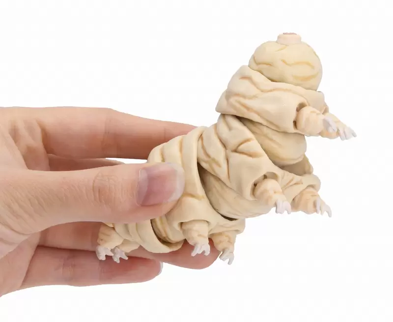 原色圖鑑系列番外篇《地表最強微生物 水熊蟲》要知道扭蛋玩具可是比實際大上1萬倍喔