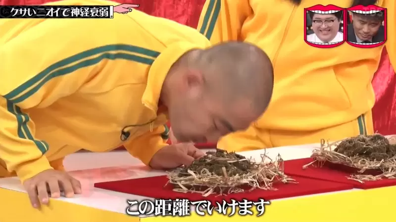 《綜藝節目發明臭味連連看》臭豆腐、榴槤、馬糞樣樣來 你能夠分出是哪一種臭味嗎? 《綜藝節目發明臭味連連看》臭豆腐、榴槤、馬糞樣樣來 你能夠分出是哪一種臭味嗎?