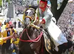 《虐待動物的日本祭典》馬兒撞死摔死安樂死都是家常便飯 睽違4年登場再次招來罵聲 《虐待動物的日本祭典》馬兒撞死摔死安樂死都是家常便飯 睽違4年登場再次招來罵聲