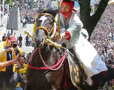 《虐待動物的日本祭典》馬兒撞死摔死安樂死都是家常便飯 睽違４年登場再次招來罵聲