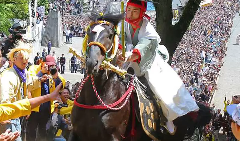 《虐待動物的日本祭典》馬兒撞死摔死安樂死都是家常便飯 睽違4年登場再次招來罵聲 《虐待動物的日本祭典》馬兒撞死摔死安樂死都是家常便飯 睽違4年登場再次招來罵聲