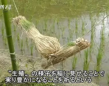 《日本茨城奇妙習俗》稻米也喜歡看色色的東西?表演野外啪啪啪可以讓收成更豐碩