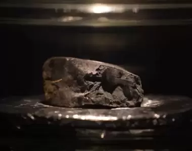 《國外男子在院子裡發現隕石》天外飛來一筆橫財，有收藏家獲悉願出660萬台幣收