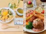 《IG美食料理家的變化》從大學到出社會投稿的內容產生極大變化 《IG美食料理家的變化》從大學到出社會投稿的內容產生極大變化