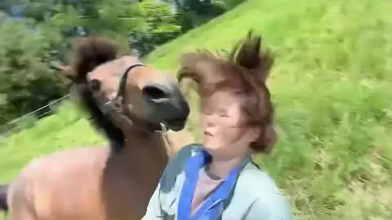 《日本議員介紹牧場生活》意外拍下被馬頭槌的瞬間 這樣只有輕傷簡直是奇蹟 《日本議員介紹牧場生活》意外拍下被馬頭槌的瞬間 這樣只有輕傷簡直是奇蹟