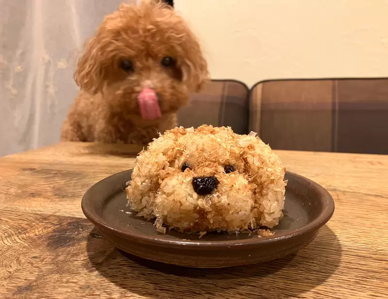 創意料理《自家愛犬飯糰》照著自家毛孩的模樣捏一捏,可愛到忍不住去吃它啦 創意料理《自家愛犬飯糰》照著自家毛孩的模樣捏一捏,可愛到忍不住去吃它啦