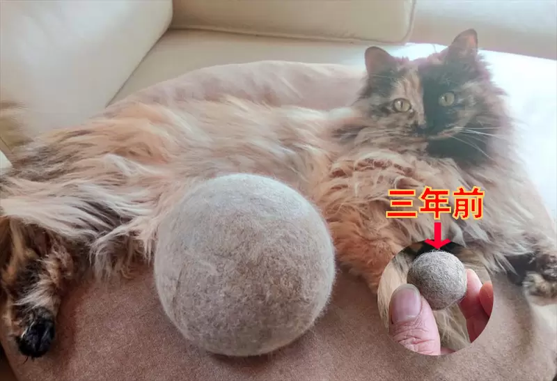 《收集貓毛球三年下來的結果》細心呵護貓毛氈,還會時不時消毒清潔一下 《收集貓毛球三年下來的結果》細心呵護貓毛氈,還會時不時消毒清潔一下