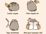 臉書貼圖那隻貓《胖吉貓Pusheen》超Q「療癒動圖集」實體化抱枕萌度神還原! 臉書貼圖那隻貓《胖吉貓Pusheen》超Q「療癒動圖集」實體化抱枕萌度神還原!