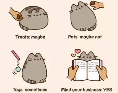 臉書貼圖那隻貓《胖吉貓Pusheen》超Q「療癒動圖集」實體化抱枕萌度神還原!