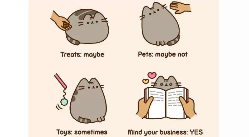 臉書貼圖那隻貓《胖吉貓Pusheen》超Ｑ「療癒動圖集」實體化抱枕萌度神還原！