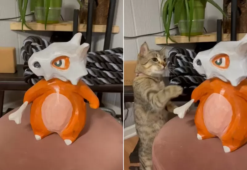 電鋸藝術家作品《木雕版卡拉卡拉》這可愛的造型連貓貓都覺得心動惹