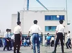 《傳統日本公司的習慣》午休時間員工一起打排球?這種職場文化為什麼消失了? 《傳統日本公司的習慣》午休時間員工一起打排球?這種職場文化為什麼消失了?