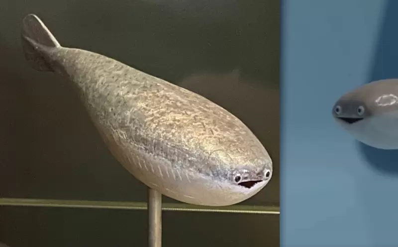 爆紅古生物《薩卡班甲魚》憨萌傻笑「滿點療癒力」原地掀起推特二創熱潮! 爆紅古生物《薩卡班甲魚》憨萌傻笑「滿點療癒力」原地掀起推特二創熱潮!