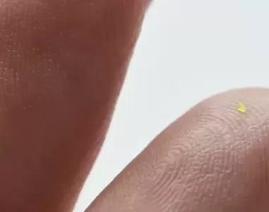 小廢包之王《MSCHF推出比鼻屎還小的LV包》用顯微鏡才能看清楚,大概只能裝2個血小板