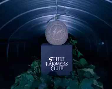 最潮哈味《藤原浩fragment design「閃電哈密瓜」》閃電Logo加持的「潮流哈密瓜」正式發售