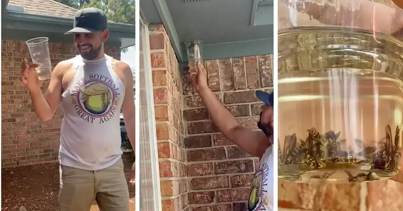 在國外大流行《輕鬆有效消滅黃蜂的方法》只需要在罐子放點汽油，讓後完全蓋住蜂巢即可