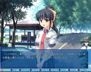 《最不色色的18禁遊戲設定集》書中都在介紹軍武和政治 說這是18禁戀愛遊戲你敢信?