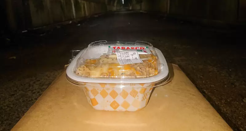《大半夜到鬧鬼隧道吃起司牛丼》日本網友發起謎之挑戰 會不會遭遇靈異事件呢……