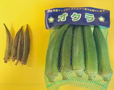 從家裡翻出來的《秋葵木乃伊》網友跟進打開冰箱搜一波,果然搜出許多乾癟癟的東西