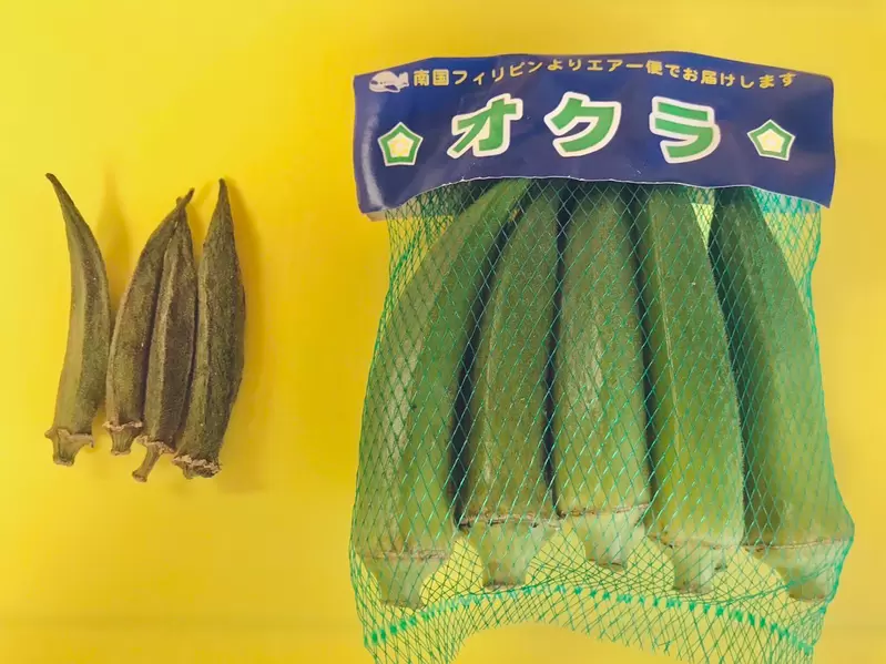 從家裡翻出來的《秋葵木乃伊》網友跟進打開冰箱搜一波,果然搜出許多乾癟癟的東西 從家裡翻出來的《秋葵木乃伊》網友跟進打開冰箱搜一波,果然搜出許多乾癟癟的東西
