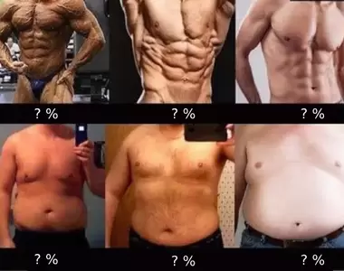 一秒看懂體脂肪對身材的影響《男子體脂圖鑑》你是幾%?喜歡幾%呢?