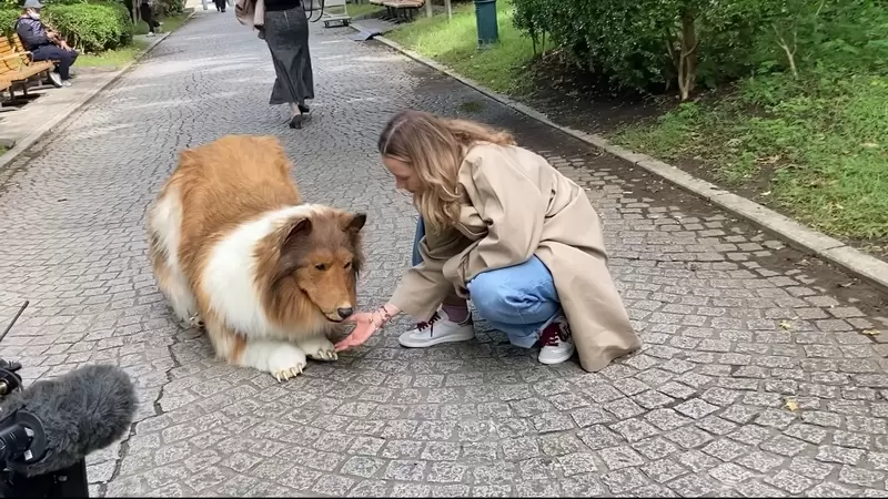 《想要當動物的男人》實測穿著布偶裝到公園跟真的狗狗互動,看看到底會發生什麼事情? 《想要當動物的男人》實測穿著布偶裝到公園跟真的狗狗互動,看看到底會發生什麼事情?