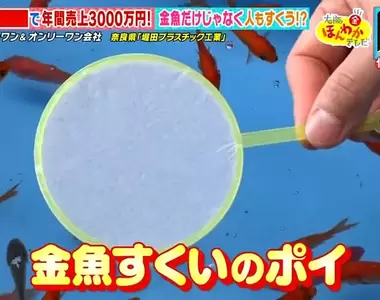 《日本老牌撈魚紙網工廠》光靠紙網每年賺進3000萬?在醫學教育界還發揮了意外妙用