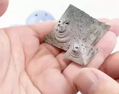 趣味扭蛋小物《變成各種形狀的海豹》當海豹能變化成各種物體形狀時還會可愛嘛?