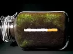 放置實驗《把香菸埋進土裡1年後的結果》讓網友大感驚奇的降解過程 放置實驗《把香菸埋進土裡1年後的結果》讓網友大感驚奇的降解過程