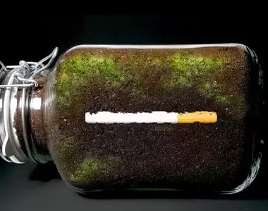 放置實驗《把香菸埋進土裡1年後的結果》讓網友大感驚奇的降解過程