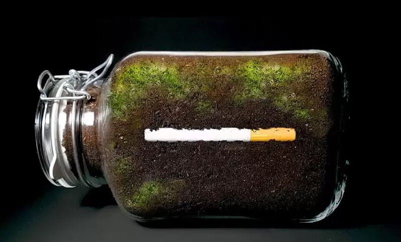 放置實驗《把香菸埋進土裡1年後的結果》讓網友大感驚奇的降解過程