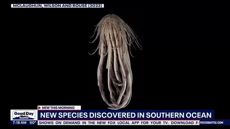 科學家發現《南極深海海怪》20隻觸手造型像極了神話故事中會出現的怪物
