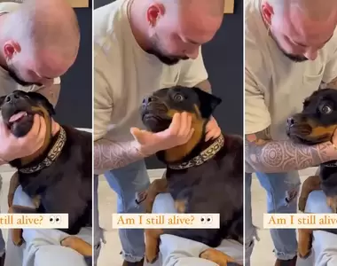 《動物整骨師》引起網友熱議,動物需要整骨嗎?在那邊咯喀喀是不是一種虐待動物?