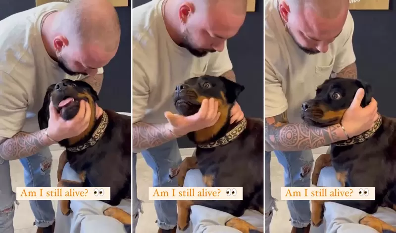 《動物整骨師》引起網友熱議，動物需要整骨嗎？在那邊咯喀喀是不是一種虐待動物？