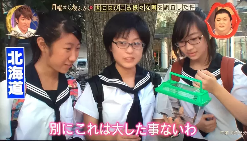 《北海道出現蟑螂了》長年被視為沒有蟑螂的淨土 全球暖化終於導致牠入侵？