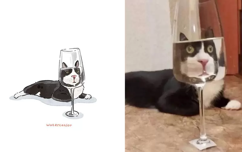 網路梗圖插畫化《喵星人的搞怪日常》照片變成圖畫不但可愛又多了一份萌感