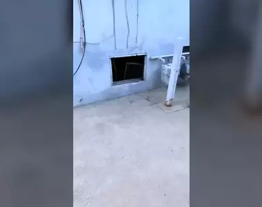 《住宅驚魂記》女子在家裡聽到莫名怪聲，查看竟發現有隻手從縫裡伸出！？