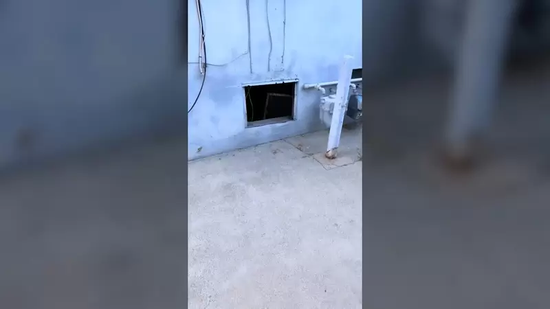 《住宅驚魂記》女子在家裡聽到莫名怪聲,查看竟發現有隻手從縫裡伸出!? 《住宅驚魂記》女子在家裡聽到莫名怪聲,查看竟發現有隻手從縫裡伸出!?