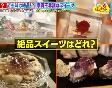 《礦物標本店推出礦物點心》外表看起來跟石頭沒兩樣 你認得出哪一個才可以吃嗎?