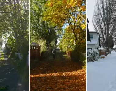 用鏡頭記錄《家裡附近一年四季的場景變化》這畫面美美的,看著看著就感動了起來