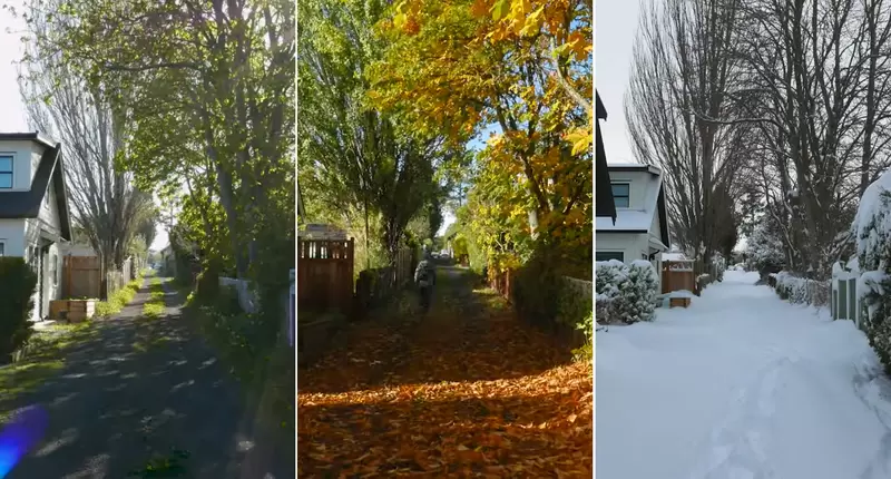 用鏡頭記錄《家裡附近一年四季的場景變化》這畫面美美的,看著看著就感動了起來 用鏡頭記錄《家裡附近一年四季的場景變化》這畫面美美的,看著看著就感動了起來