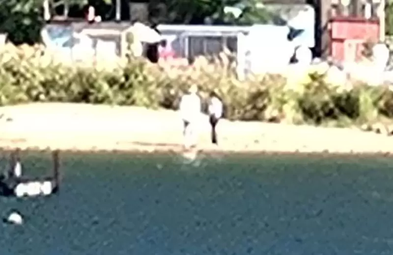 《毛骨悚然靈異照片》日本網友單獨在湖邊看風景 人家卻說旁邊緊跟著一個人？