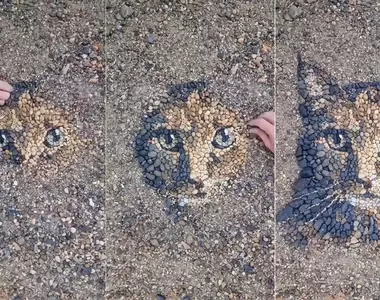 《排列石頭做出的藝術效果》低頭一看竟然有意想不到的圖案展現