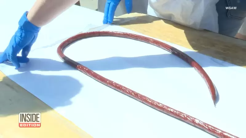 一口絕對吃不完《世界最長肉棒》全長95.7米打破金氏世界紀錄 一口絕對吃不完《世界最長肉棒》全長95.7米打破金氏世界紀錄