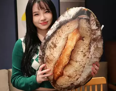 海鮮控必備《鮑魚抱枕》覺得累就把自己的臉埋進去好好休息吧