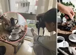 攝影師傳授《這麼拍就會變這樣系列》大獲網友好評!參考起來人人都可以拍出好照片 攝影師傳授《這麼拍就會變這樣系列》大獲網友好評!參考起來人人都可以拍出好照片