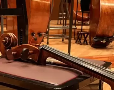 《讓大提琴家傻眼的一幕》不知情的人以為在說樂器的擺法 直到視線看向椅腳……